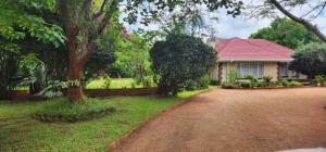 Zahrada ubytování Lovely 3 bed in Mount Pleasant - 2153