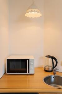 Un microondas sobre una encimera junto a un fregadero. en Flora's Palace - The Hague Scheveningen, en La Haya
