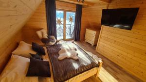 TV a/nebo společenská místnost v ubytování Domki góralskie Sabałecka II