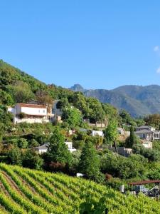 Γενική θέα στο βουνό ή θέα στο βουνό από  αυτή η βίλα