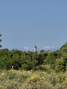 Φυσικό τοπίο κοντά σε αυτή η βίλα