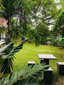 Κήπος έξω από το Madiha Dolamulla Gedara