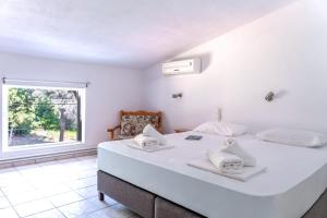 Foto dalla galleria di Villa Nikos Koukounaries a Koukounaries