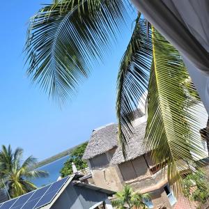 a palm tree leaning over a building with the ocean in the background at AMOODY MANZIl in Shela