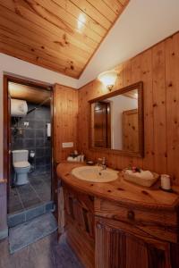 a bathroom with a sink and a shower and a mirror at The Water Willow By Vanavya in Manāli