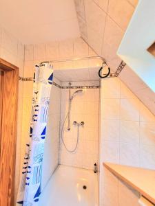 a bathroom with a shower and a bath tub at Strandresidenz Wittower Heide in Glowe