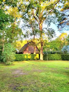 a house with a tree in a yard at Strandresidenz Wittower Heide in Glowe