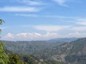 Naturlandskabet i nærheden af lejligheden