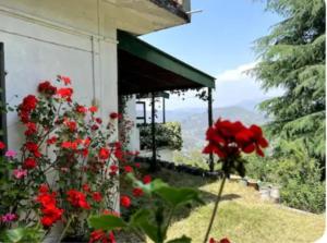 En have udenfor Dhyan Anand Homestay