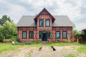 zwei Hunde sitzen vor einem Haus in der Unterkunft Elbenow in Losenrade