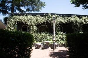 Zahrada ubytování Hobbit Boutique Hotel