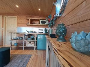 a kitchen with a blue refrigerator and wooden walls at La toue Belle de Maine - Bateau traditionnel de la Loire in Angers