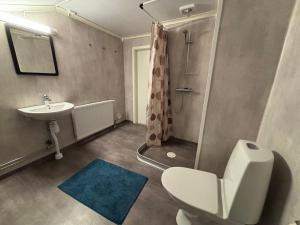 Ένα μπάνιο στο Fjällägenhet i Huså byskola