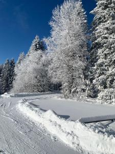 Premium Resort Arber Šumava iarna