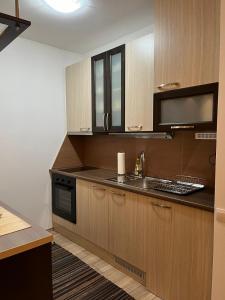 a kitchen with wooden cabinets and a sink at EukaVita in Banja Koviljača +11 photos