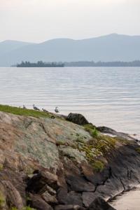 a large body of water with rocks and birds on it at Sun Castle Resort in Lake George