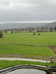 Blick auf ein Feld mit einem Teich im Vordergrund in der Unterkunft Laventure in Aywaille