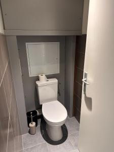 bagno con servizi igienici in una piccola camera di La douce escale ad Angoulême