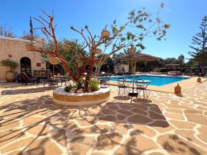 a patio with a tree and chairs next to a pool at Palais Tiyana in Al Ghar