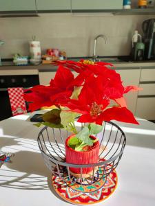 Φωτογραφία από το άλμπουμ του Private Parking - Athena Suite nel cuore di Bari στο Μπάρι