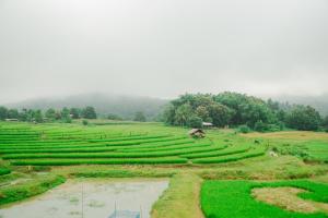 Природа в окрестностях лоджа