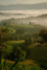 Природа в окрестностях лоджа