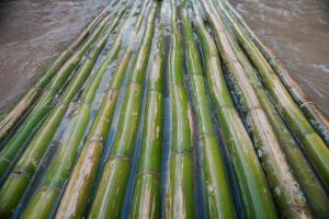 Природа в окрестностях лоджа