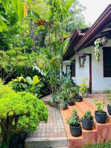 Κήπος έξω από το Chami's Home Stay