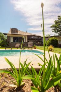 Πισίνα στο ή κοντά στο El Piul Posada Serrana