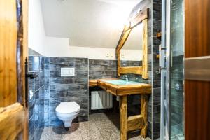 a bathroom with a sink and a toilet at Apartman Kamzik - 2 in Veľká Lomnica