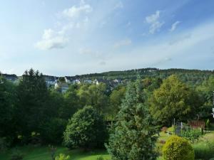 Blick auf eine Stadt mit Bäumen und Häusern in der Unterkunft Ferienwohnung Klose in Schmallenberg