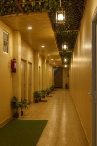 صورة لـ Hotel Padharo Sa Resort , Vrindavan - Lavish & Luxury rooms with parking near prem mandir في فريندافان +11 صورة
