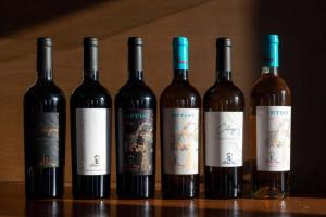 Ποτά στο Pensiunea Nimbus