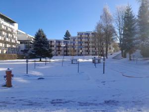 Ferienwohnung Marina in Sankt Englmar, Bayerischer Wald, familienfreundlich зимой