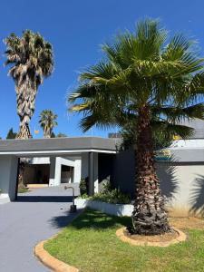 バンダービールパークにあるZee Lifestyle Guesthouseの建物前のヤシの木