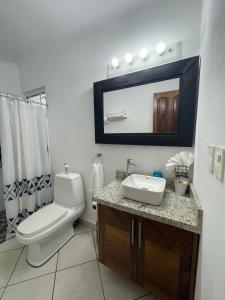 a bathroom with a toilet and a sink and a mirror at Oceanfront-Ocean View in Bucerias Casita Oasis Condo - Large Studio in Bucerías +10 photos