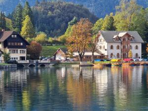 ブレッドにあるApartment Maca Bledの家屋や船が流れる川