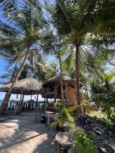 un resort con palme sulla spiaggia di D Mountain Beach Resort a Puerto Galera