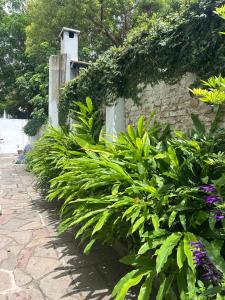 En have udenfor casa en florida