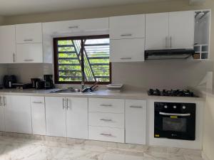 Kuchyň nebo kuchyňský kout v ubytování Villa Rafael
