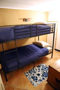 a room with two bunk beds and a rug at Dory's Tiny House in Arquata Scrivia