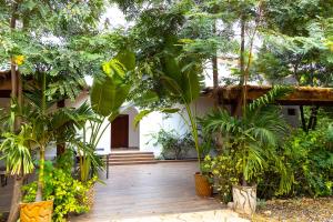 Κήπος έξω από το Farafina Lodge +10 φωτογραφίες