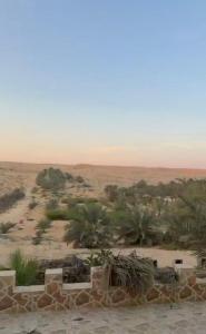 a view of the desert with trees and a building at شاليهات ليوا in Al Mashrūb