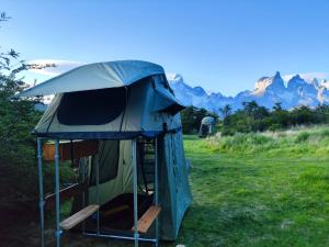 a tent in a field with mountains in the background at Yellow Plum Camp Pehoé in Torres del Paine