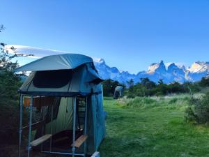 a blue tent in a field with mountains in the background at Yellow Plum Camp Pehoé in Torres del Paine