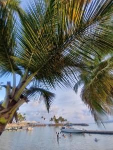 Fotografie z fotogalerie ubytování Appartement paradisiaque les pieds dans l'eau v destinaci Le Gosier