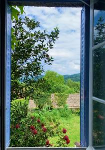 Φυσικό τοπίο κοντά σε αυτό το bed & breakfast