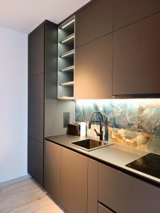 Kuchyň nebo kuchyňský kout v ubytování Bijelić Luxury Apartment with Jacuzzi