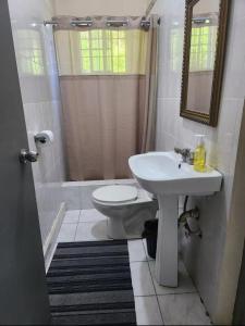 Ένα μπάνιο στο Home in Port Antonio, Jamaica