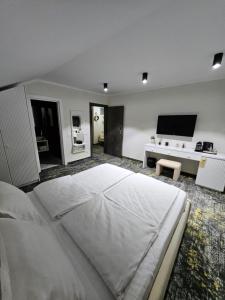 TV a/nebo společenská místnost v ubytování Pensiunea ART